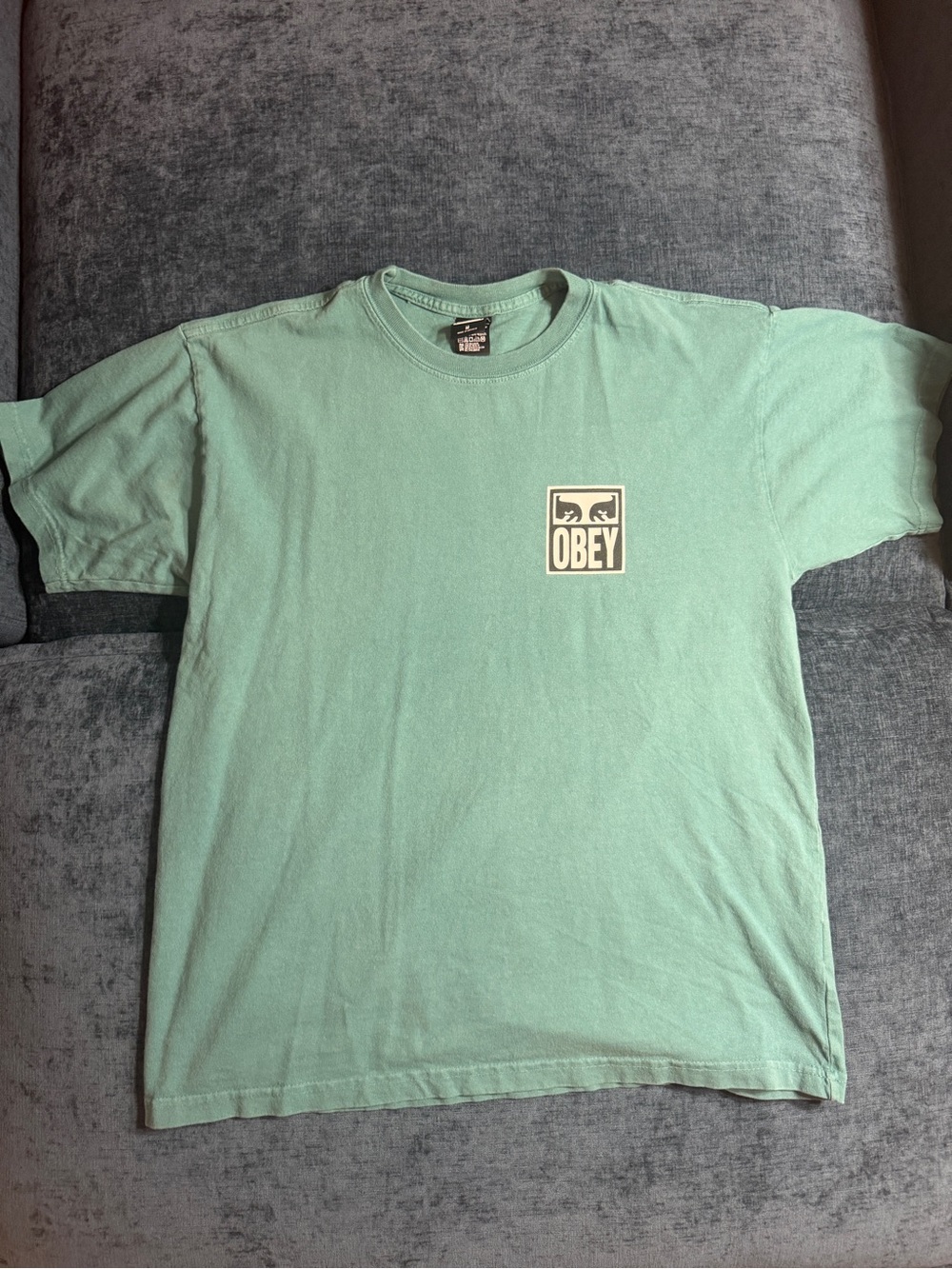 Obey Men's Graphic Tee in Mint Green